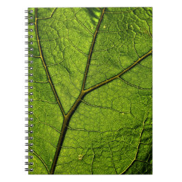 Caderno Espiral Folha de Borboleta Verde