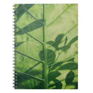 Caderno Espiral Folha de Coluna