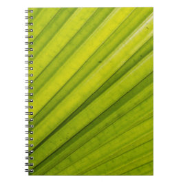 Caderno Espiral Folha de Palmeira