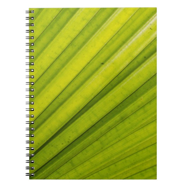 Caderno Espiral Folha de Palmeira (Frente)