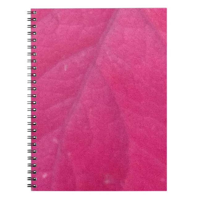 Caderno Espiral Folha de Púrpura (Frente)