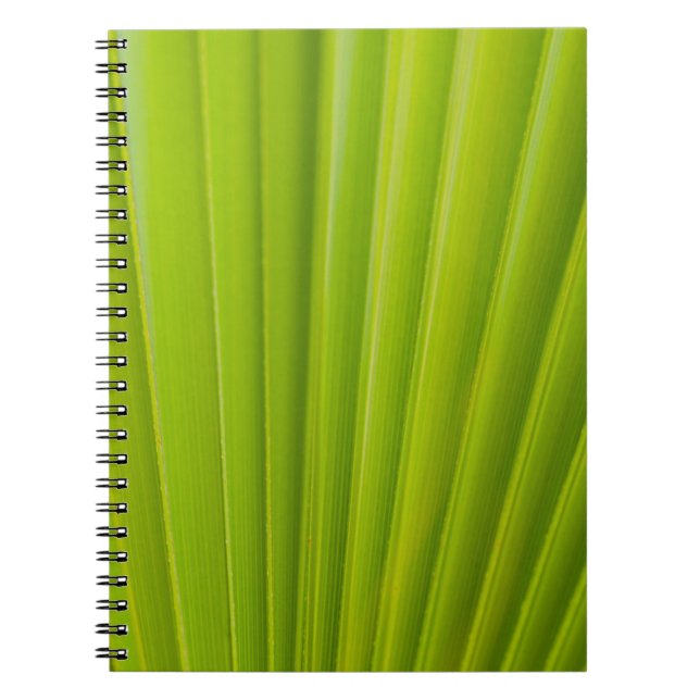 Caderno Espiral Folha verde (Frente)