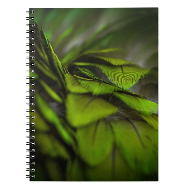 Caderno Espiral Folha verde (Frente)