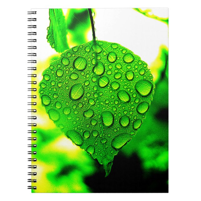 Caderno Espiral Folha Verde (Frente)
