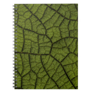 Caderno Espiral Folha verde