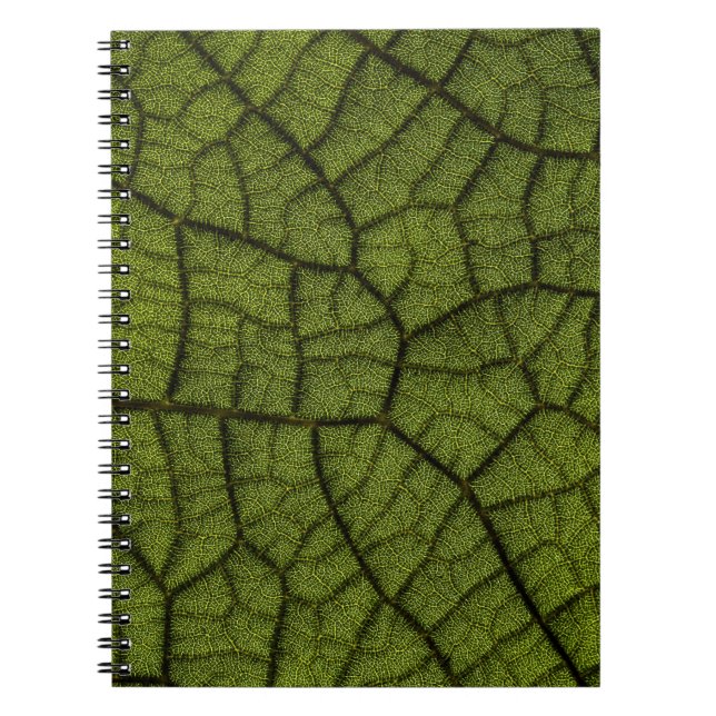 Caderno Espiral Folha verde (Frente)