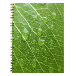 Caderno Espiral Folha Verde