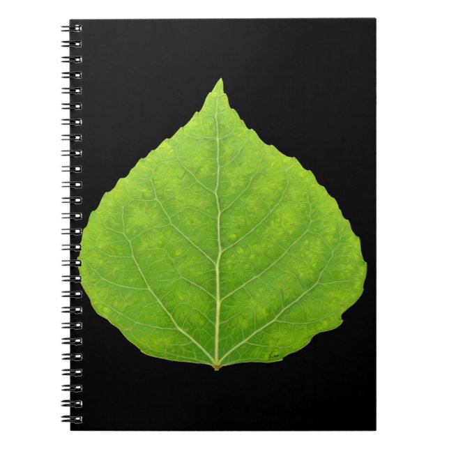 Caderno Espiral Folha verde #11 de Aspen (Frente)