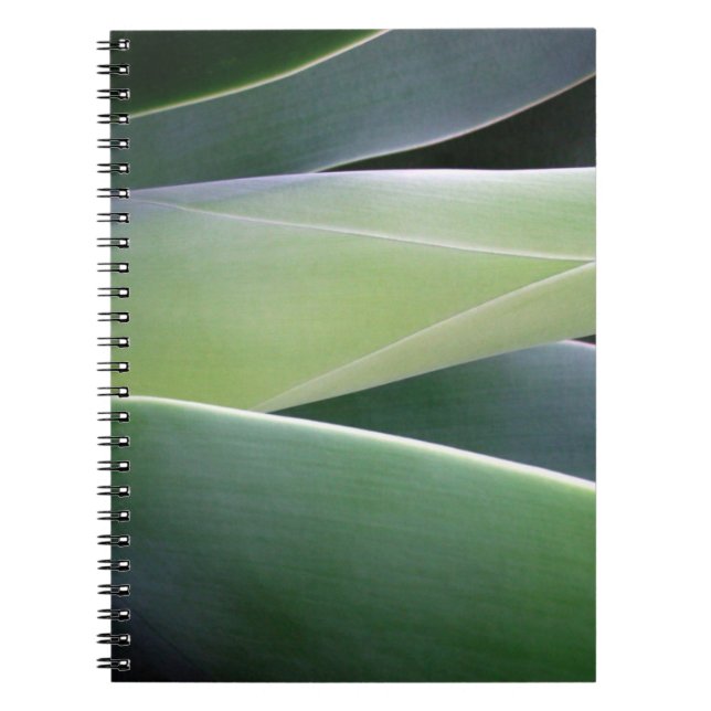 Caderno Espiral Folhas da agave (Frente)