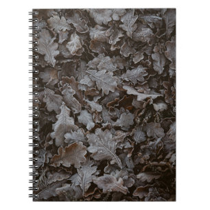Caderno Espiral Folhas de castanho
