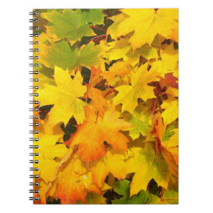 Caderno Espiral Folhas de Mapeamento de Queda com Cores de Outono