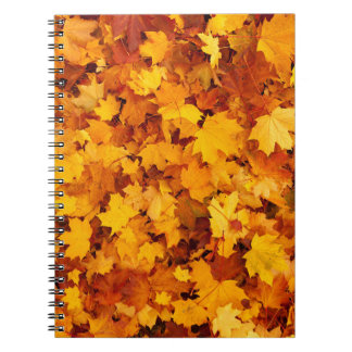 Caderno Espiral Folhas de Ouro de Verão na Índia