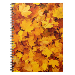 Caderno Espiral Folhas de outono