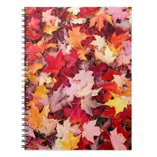 Caderno Espiral Folhas de outono Coloridas (Frente)