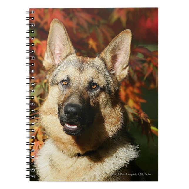 Caderno Espiral Folhas de outono do german shepherd (Frente)
