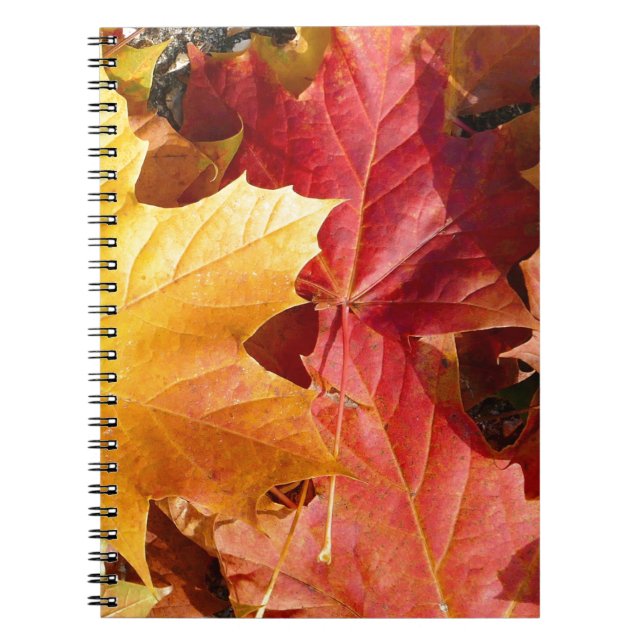 Caderno Espiral Folhas de outono - Incrível! (Frente)