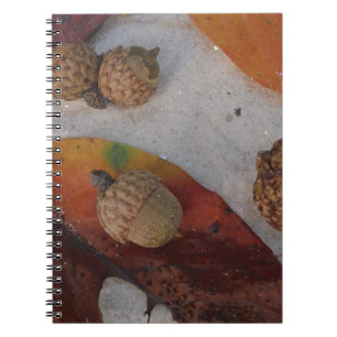 Caderno Espiral Folhas e bolotas de laranja