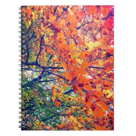 Caderno Espiral Folhas laranja e verde