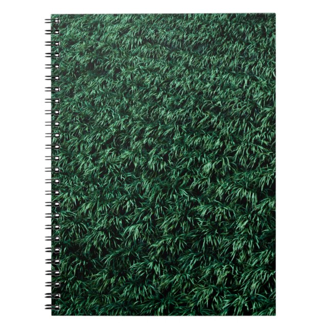 Caderno Espiral Folhas verdes (Frente)