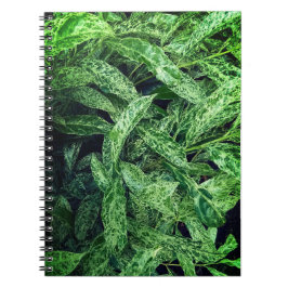 Caderno Espiral Folhas verdes