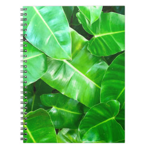 Caderno Espiral Folhas verdes Palm Folha Floresta tropical