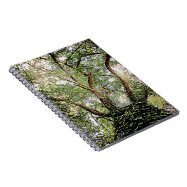 Caderno Espiral folhas verdes por toda a parte