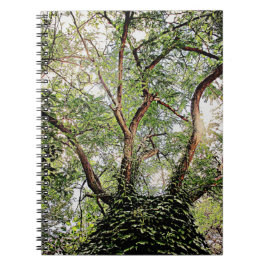 Caderno Espiral folhas verdes por toda a parte