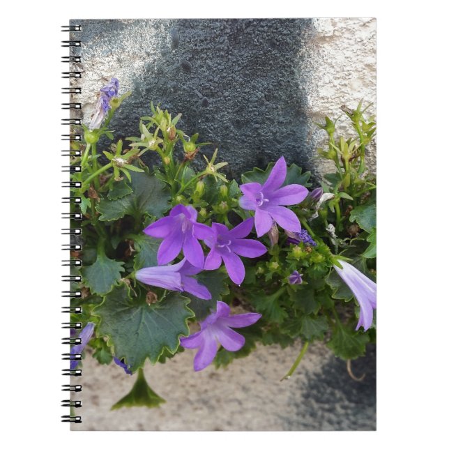 Caderno Espiral fora da flor de parede (Frente)