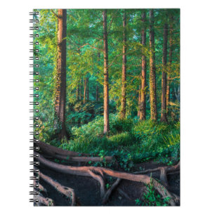 Caderno Espiral Forests   Greenery & Woodland