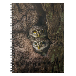 Caderno Espiral Forests Two Owls Looking