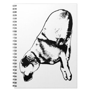Caderno Espiral Forma Leal Equilíbrio