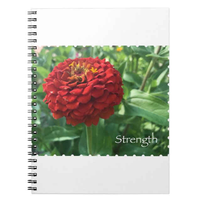 Caderno Espiral Forra de Força (Frente)