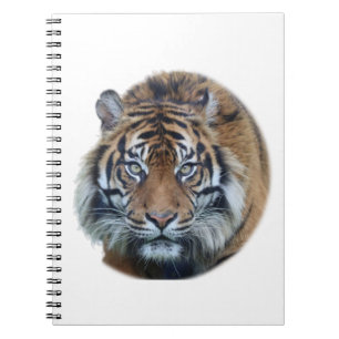 Caderno Espiral Foto Bengala Tiger Face