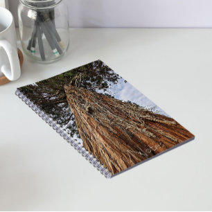 Caderno Espiral Foto da Árvore Giant Sequoia