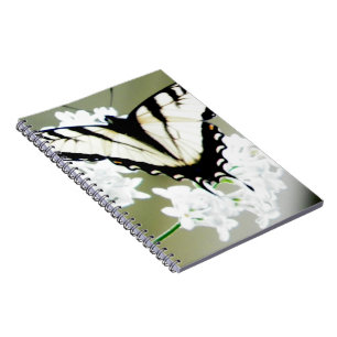 Caderno Espiral Foto da Borboleta do Swallowtail do Tiger Oriental