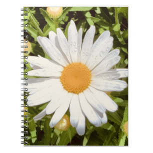 Caderno Espiral Foto da Flor Nova Inglaterra