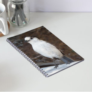 Caderno Espiral Foto da Natureza de Whiskey Jack Fofa