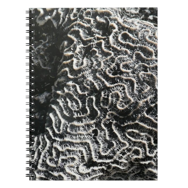 Caderno Espiral Foto da natureza do Abstrato Black and White Coral (Frente)