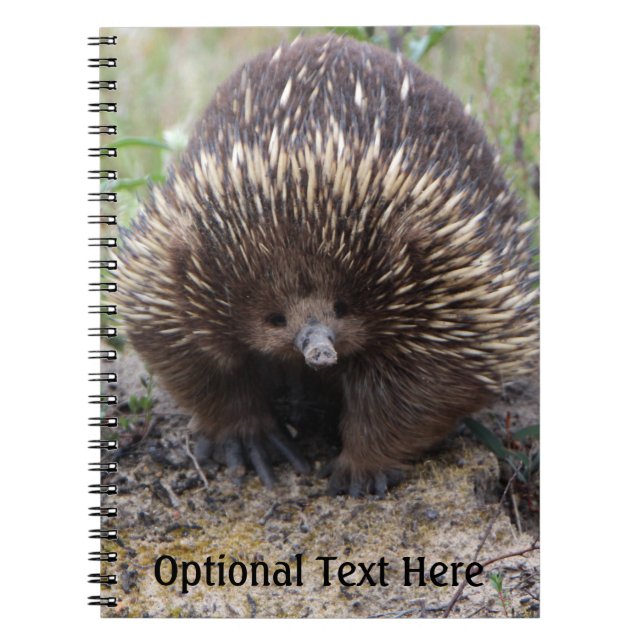 Caderno Espiral Foto de animal Echidna Cute, australiana (Frente)
