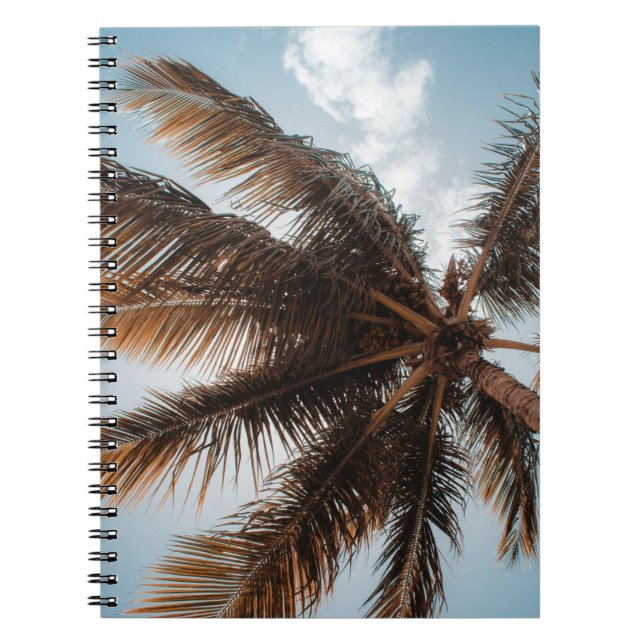 Caderno Espiral Foto de baixo ângulo do coco (Frente)