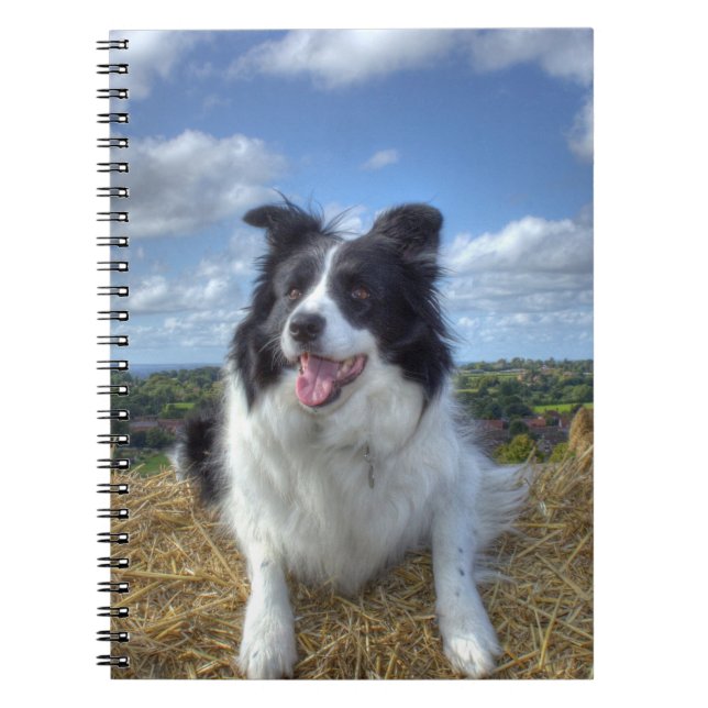 Caderno Espiral Foto de cachorro Border Collie Fofo (Frente)