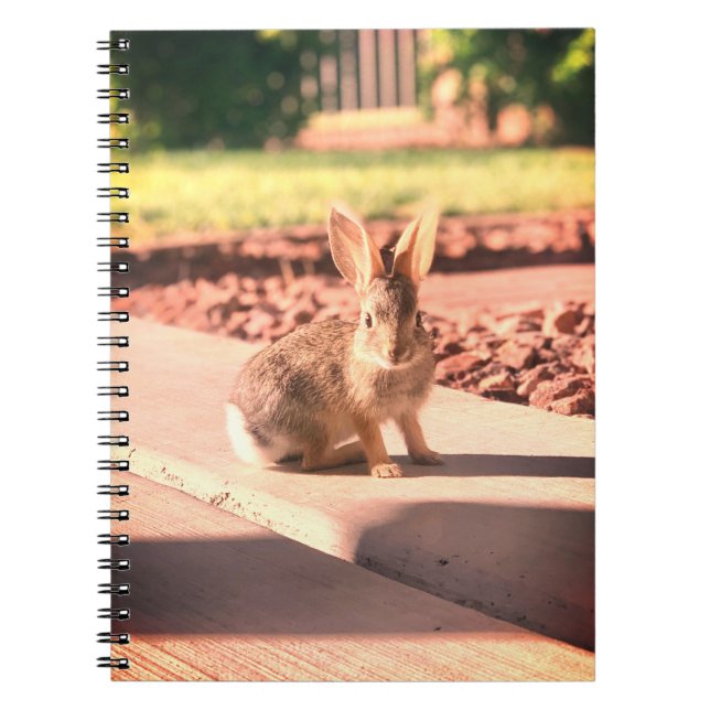 Caderno Espiral foto de coelho Easter primavera (Frente)
