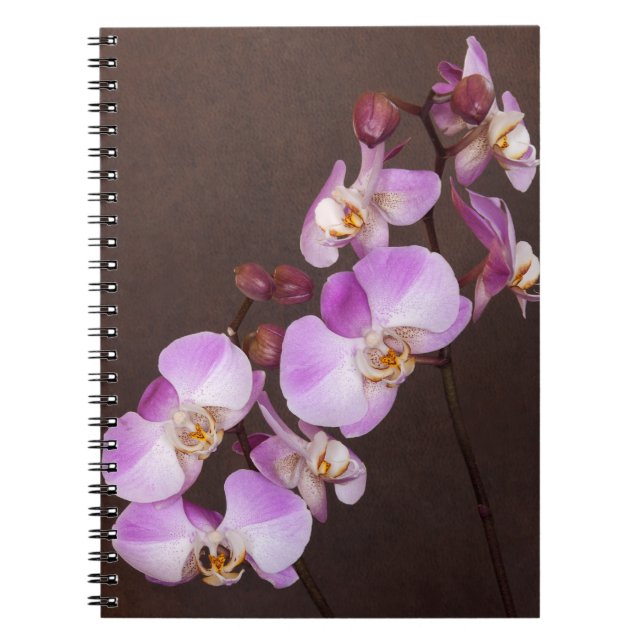 Caderno Espiral Foto de Fechamento em Branco Violeta Diagonal de F (Frente)