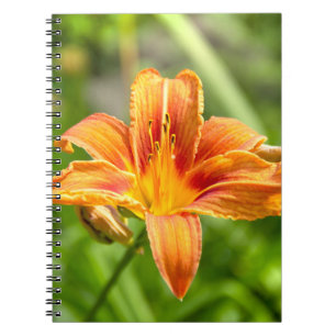 Caderno Espiral Foto de flor Lily grande e bonita