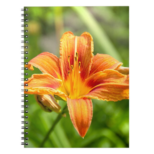 Caderno Espiral Foto de flor Lily grande e bonita (Frente)