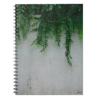 CADERNO ESPIRAL FOTO DE FOCUS DAS PLANTAS FERN