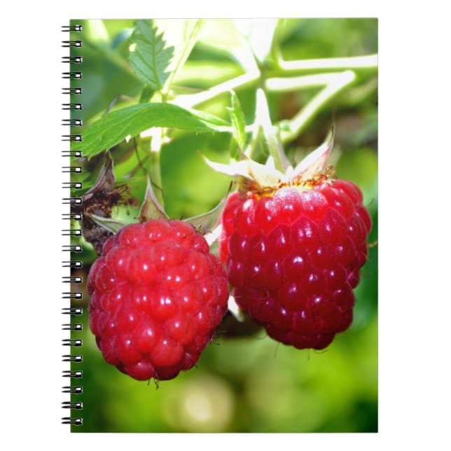 Caderno Espiral Foto de framboesa branca fruta de framboesas amora (Frente)