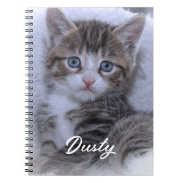 Caderno Espiral Foto de Gatinho Fofinho da Família