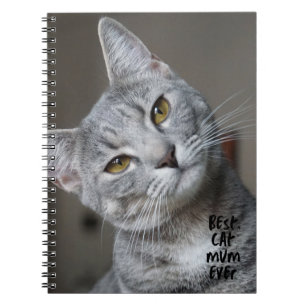 Caderno Espiral Foto de Gato de Trendência Moderna da Mãe do Melho