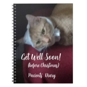 Caderno Espiral Foto de Gato Ginger Melhorar Logo, Espiral